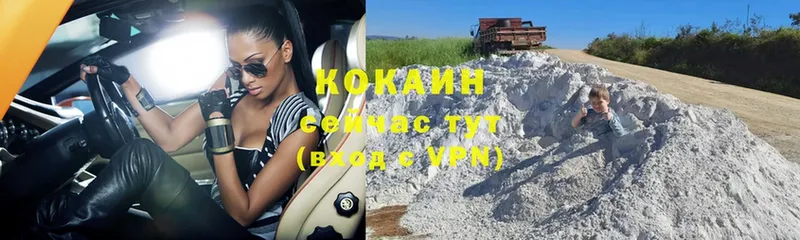 COCAIN Fish Scale  Нижняя Тура 