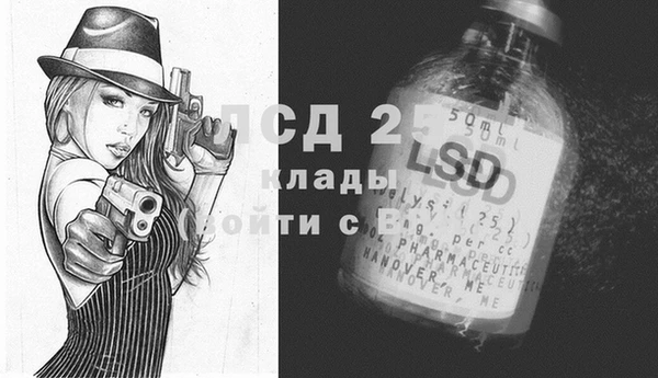 Альфа ПВП Новодвинск