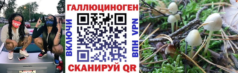 купить наркоту  Нижняя Тура  дарк нет формула  Псилоцибиновые грибы GOLDEN TEACHER 